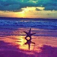 祭母系列24学会平衡的艺术