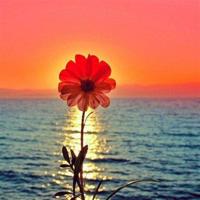 (校园爱情文章)恋爱中的女孩哪个不傻