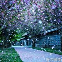 珍惜今天,珍惜现在,谁知道明天和意外,哪一个先来。