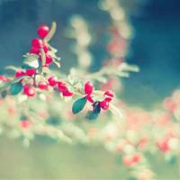 幸福,其实就在自己身边