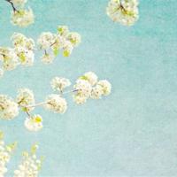 (校园爱情文章)暗恋这样改变我们的年少时光