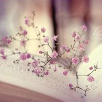 你患上了假日综合症吗 非主流文字图片