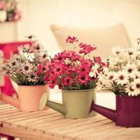 精选鲁迅先生的名言100句,鲁迅短句