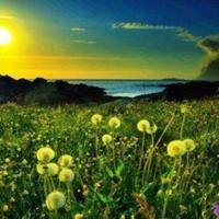 你到底要我怎样?