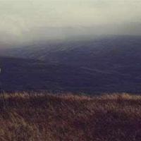 因为这是幸福的味道