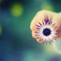 三毛经典语录 三毛经典语录大全