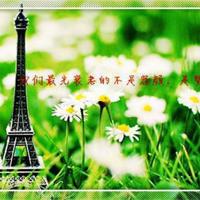 遇见 是一朵花开的缘