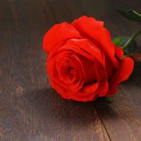 成熟不是心变老，而是眼泪在眼里打转却还保持微笑。