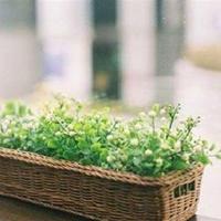 激励学生学习的励志名言短句/学生一句话