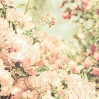 讲鬼故事之鬼影迷踪