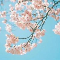 一句写给妈妈的话暖心到哭的话 妈妈语录