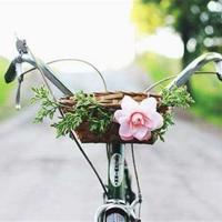 难忘打工的岁月