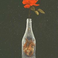 情人节的爱情欠条