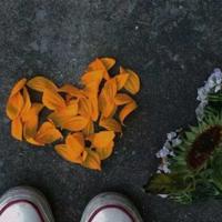 关于我和一个女孩的故事