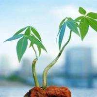 简单心情文字图片_我想告诉你我的心情