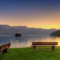 闲说眼前花之人散文