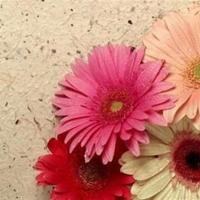 失恋的个性签名，qq失恋个性签名