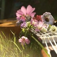 亲爱的，等等我就来