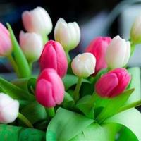 2010年88句韩寒经典语录!88句经典体现才子的鬼才!