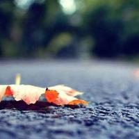 谁也不是谁的谁