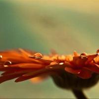 下次可不可以换你褪去一身骄傲喜欢我到死.