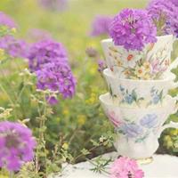 我没有活在回忆里,只是偶尔想起你