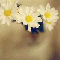 苏菲知道了一个秘密