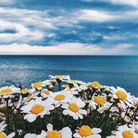 想念着从前,怀念着那一段在一起的时光