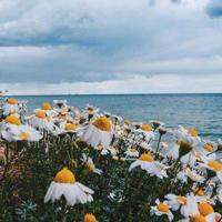 丽丽,你不配做我女儿的母亲!