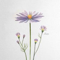 唯美英文文字图片