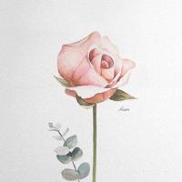 胆小鬼：你终究离开了我