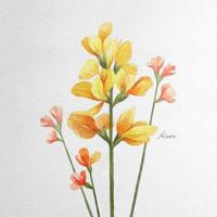 放飞——无论多么美好的东西,被拘束后也会丧失光彩。