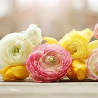 几米经典爱情语录、几米最新经典语录