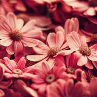 有一种爱情叫相濡以吵