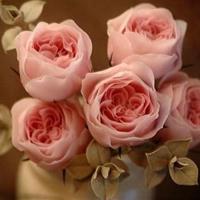 如果有来世，请让我先遇上你