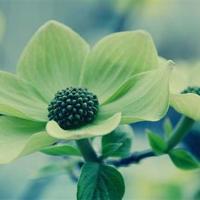 够得着的幸福才是你的