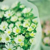 夏秋交集,只等雨后秋意