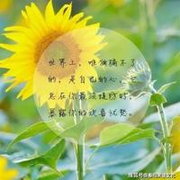 我想有个家——讲叙现代人买房成家的巨大压力