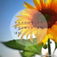 马云经典语录大全、马云经典创业语录