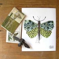 最新冷笑话4个,这些笑话非常冷