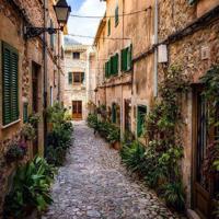 陪伴就是 你需不需要的时候 我都在。