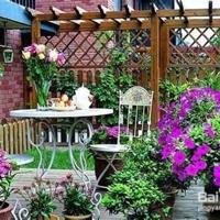 微雨的小镇散文