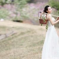 3.12植树节祝福语公益短信暖心问候大全精选