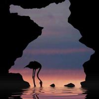 唯美句子精选摘抄|唯美短句