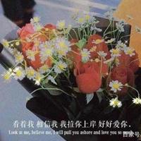 相逢的人还会再相逢