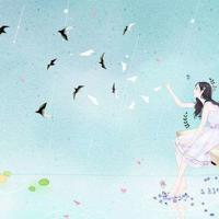 红尘,我只是路过