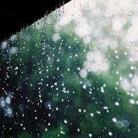 唯美幸福句子大全·唯美短句