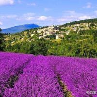 从前，已是过往，何必让世界跟着悲伤。