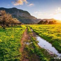 逆光里黑色的剪影，沉淀出悲伤的轮廓来。