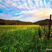 我们真的要分手吗?